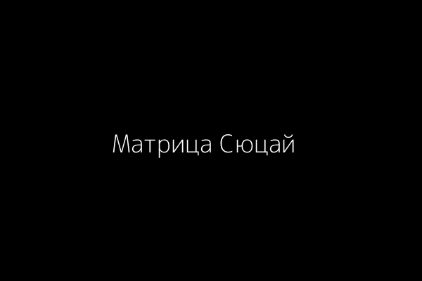 Пример матрицы Сюцай