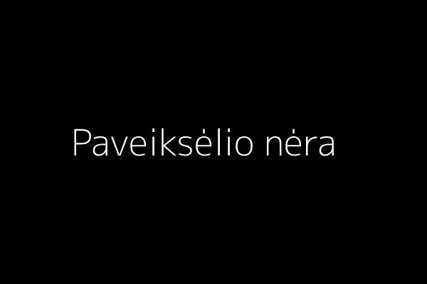 Paveikslelio nera