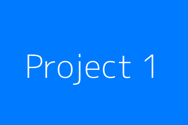 Project 1