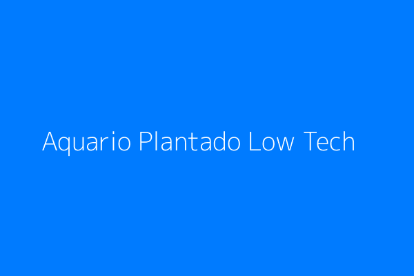 Aquário plantado low-tech com plantas de crescimento lento