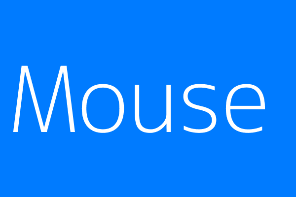 Mouse