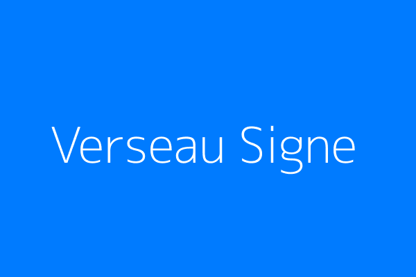 Verseau Signe Astrologique