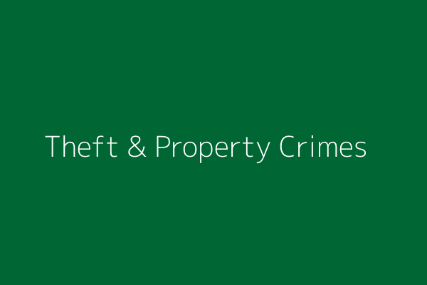 Theft & Property Crimes Defense