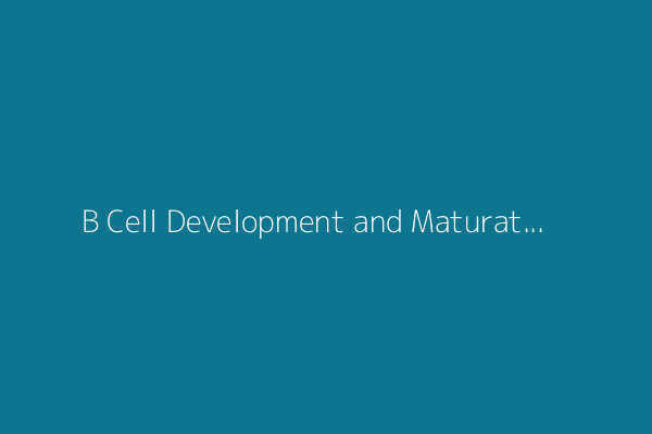 B Cell Development and Maturation: Building the Body’s Antibody Arsenal