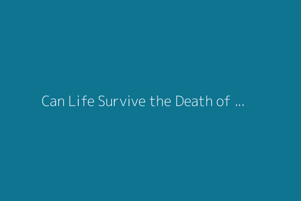 Can Life Survive the Death of the Sun?