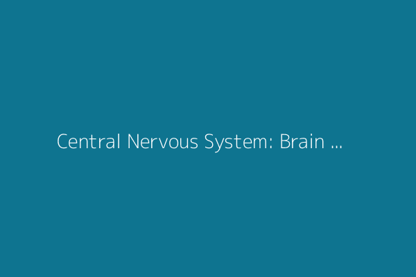 Central Nervous System: Brain and Spinal Cord