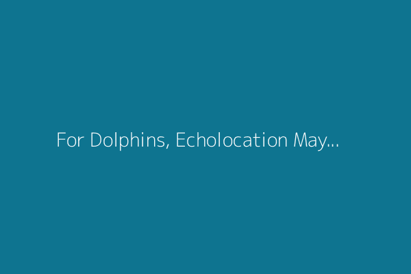For Dolphins, Echolocation May Be More Like ‘Touching’ Than ‘Seeing’