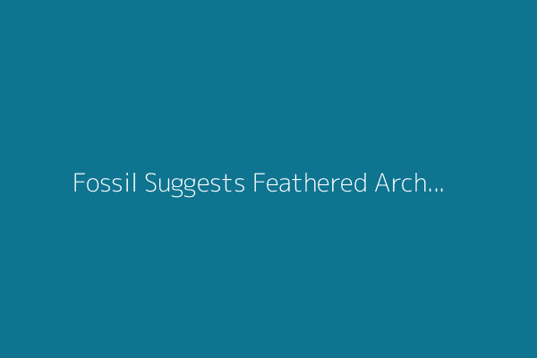 Fossil Suggests Feathered Archaeopteryx Probably Flew Like a Chicken