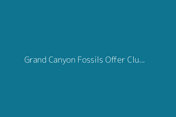 Grand Canyon Fossils Offer Clues of When Complex Life Appeared