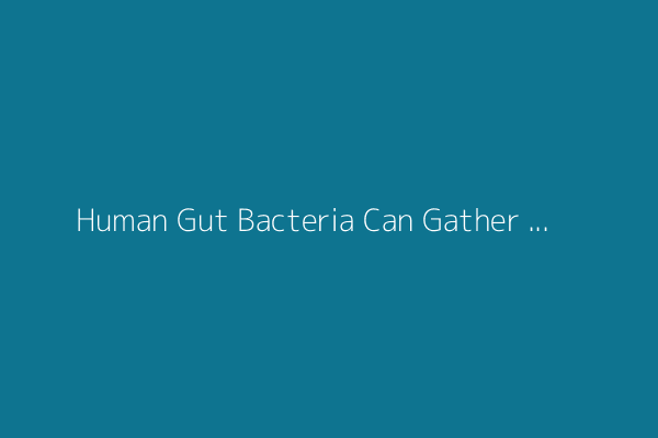 Human Gut Bacteria Can Gather Up PFAS ‘Forever Chemicals’