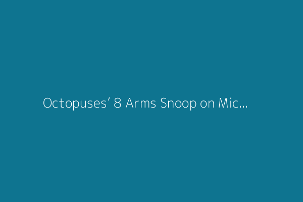 Octopuses’ 8 Arms Snoop on Microbiomes