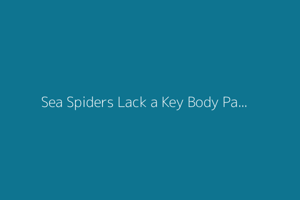 Sea Spiders Lack a Key Body Part and a Missing Gene Could Explain Why