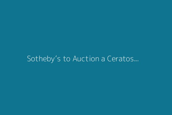 Sotheby’s to Auction a Ceratosaurus, With Millions and More on the Line