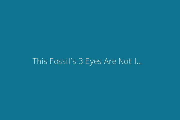 This Fossil’s 3 Eyes Are Not Its Most Surprising Feature