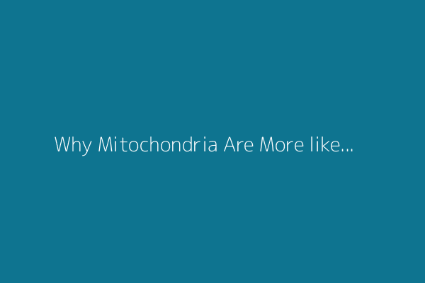 Why Mitochondria Are More like a Motherboard Than the Powerhouse of the Cell