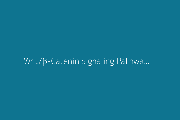 Wnt/β-Catenin Signaling Pathway: A Comprehensive Overview