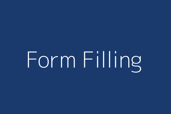 Govt Form Filling Service