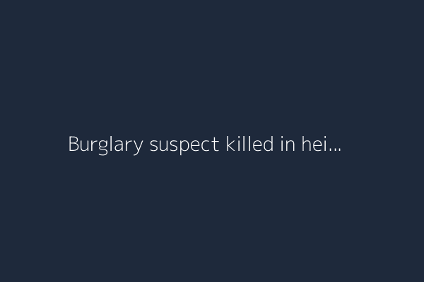 Burglary suspect killed in heist believed to have been shot by accomplice