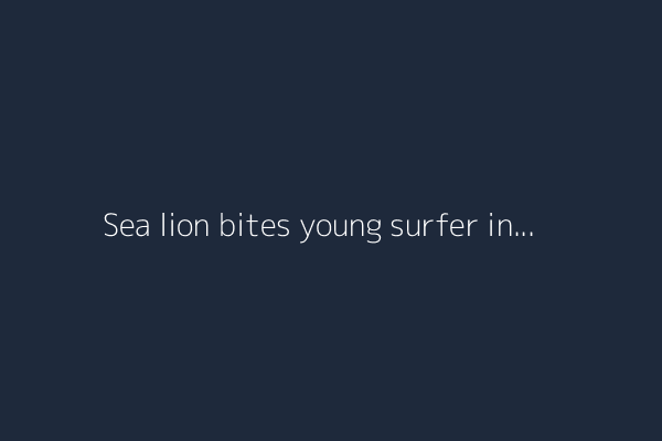Sea lion bites young surfer in Monterey County: 'It was pain, and then I was screaming'