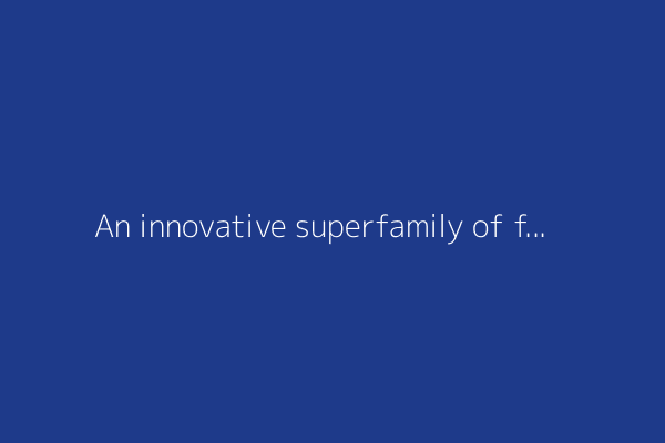 An innovative superfamily of fonts for code (2023)