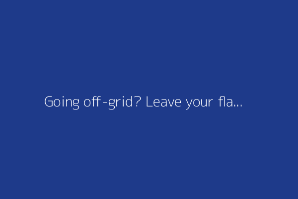 Going off-grid? Leave your flagship at home and take this $300 Android instead. Here's why