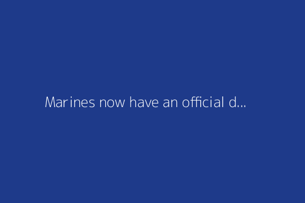 Marines now have an official drone-fighting handbook