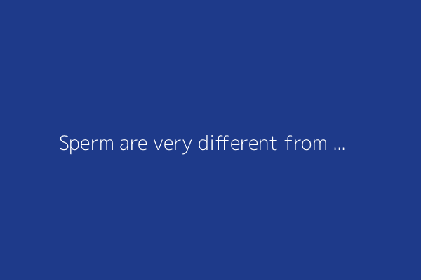 Sperm are very different from all other cells
