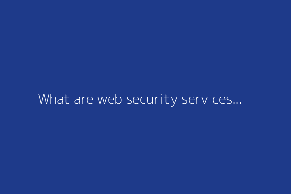 What are web security services? A beginner’s guide