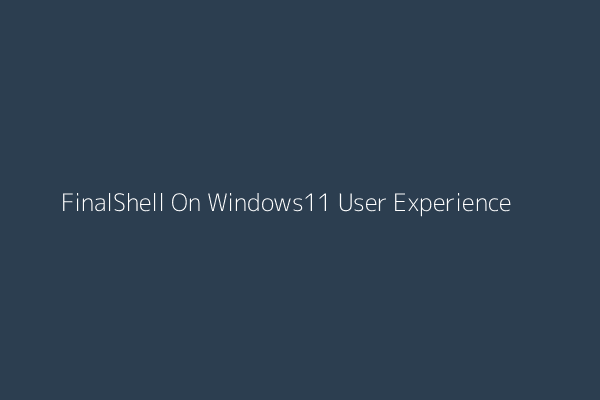 FinalShell On Windows11 User Experience