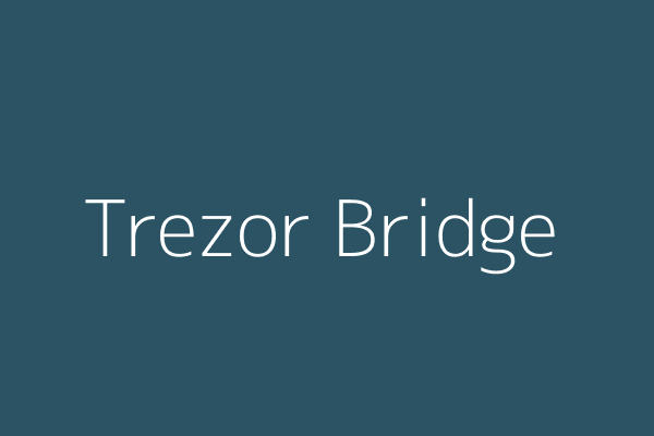 Trezor Bridge Illustration