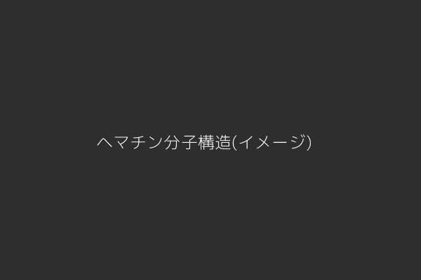 ヘマチンの分子構造イメージ