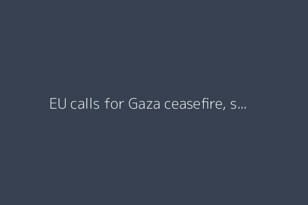 EU calls for Gaza ceasefire, stops short of taking action against Israel