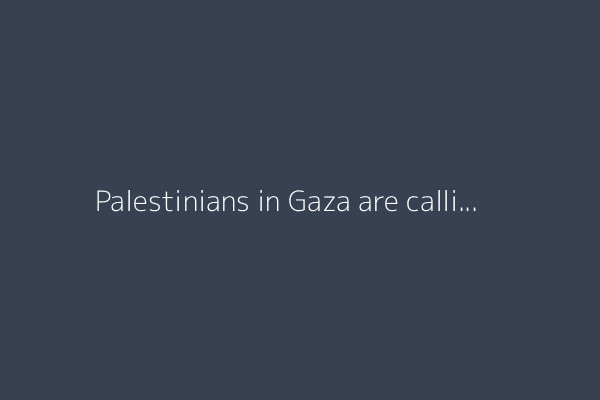 Palestinians in Gaza are calling for their own ceasefire