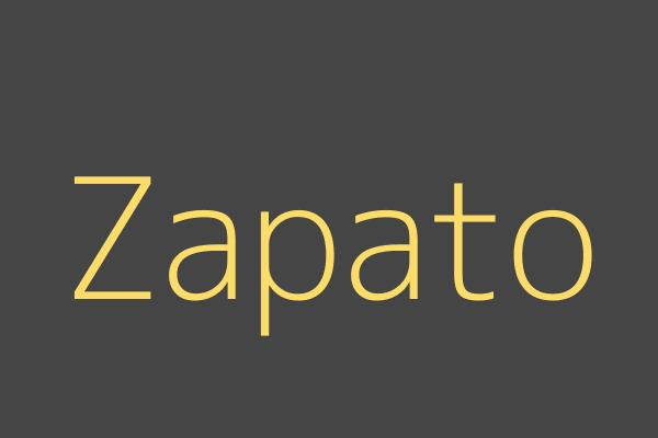 Zapato 07