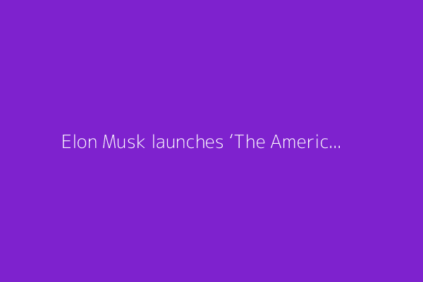 Elon Musk launches ‘The American Party’