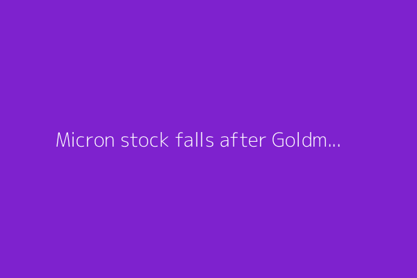 Micron stock falls after Goldman downgrades peer SK Hynix
