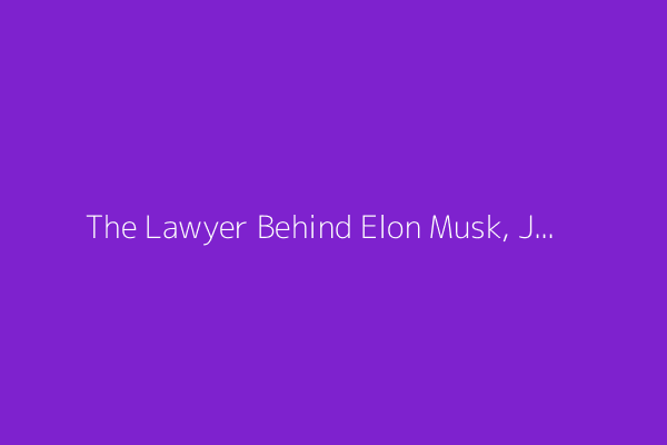 The Lawyer Behind Elon Musk, Jay-Z and Megan Thee Stallion