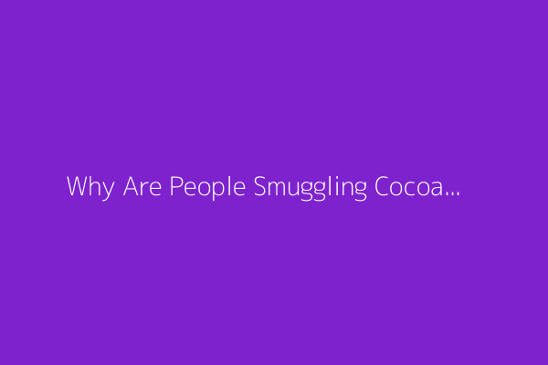 Why Are People Smuggling Cocoa Beans out of Ivory Coast? (Video)