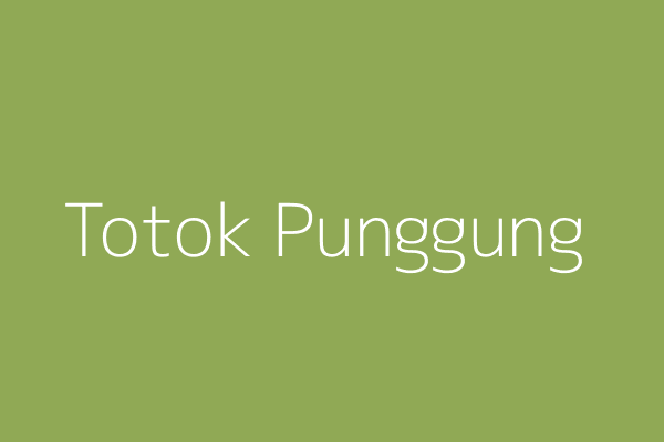 Totok Punggung