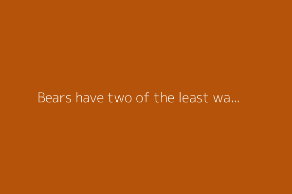 Bears have two of the least watchable games in 2025
