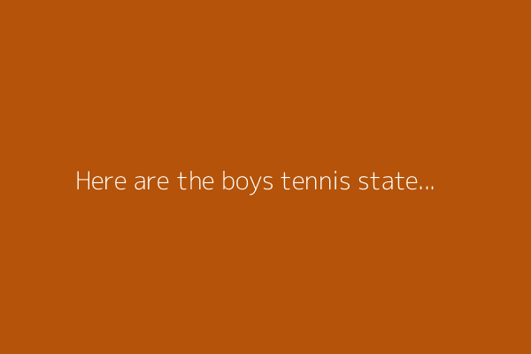 Here are the boys tennis state qualifiers in the Springfield area