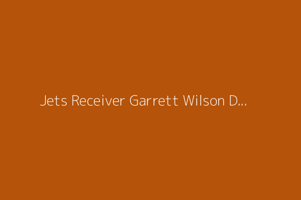Jets Receiver Garrett Wilson Defends Justin Fields With Shot at Bears