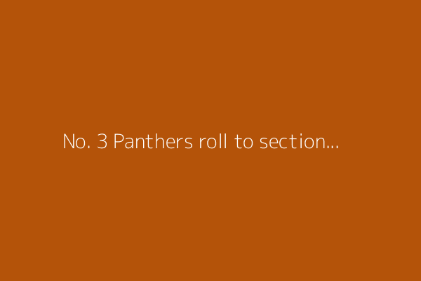 No. 3 Panthers roll to sectional title over ND
