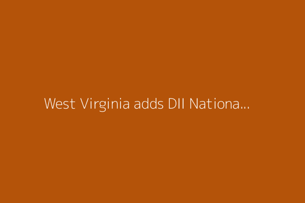 West Virginia adds DII National Pitcher of the Year Ian Korn