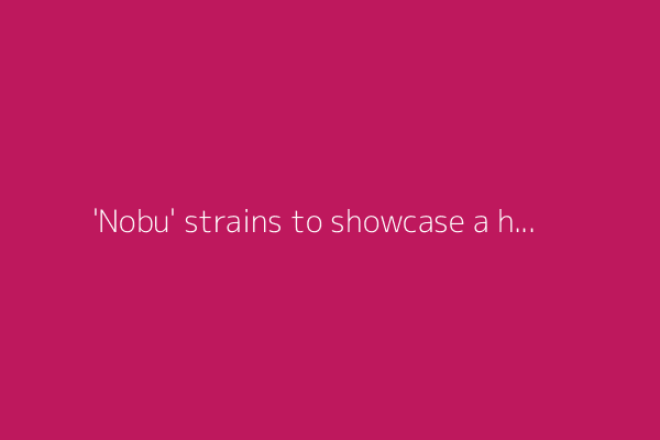 'Nobu' strains to showcase a humble man at the center of a sexy global brand