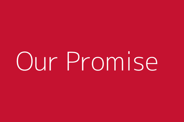 Our Promise to You