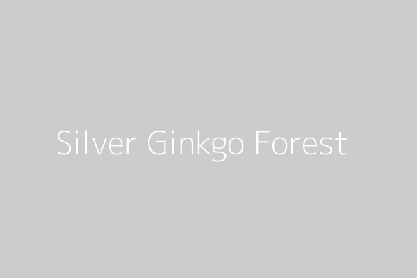 Silver Ginkgo Forest