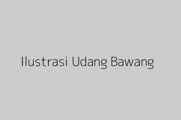 Ilustrasi udang segar dan bawang merah dalam masakan tradisional