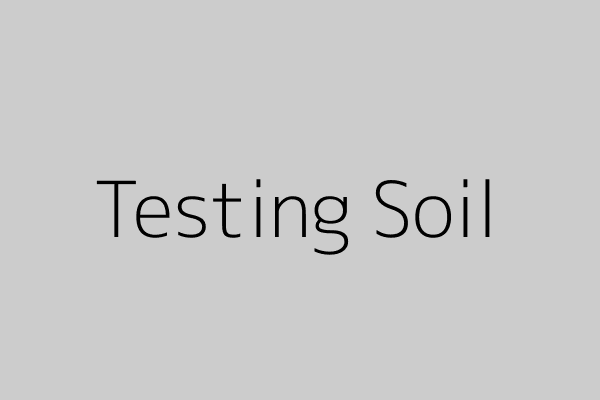 Testing soil pH in a vegetable garden using digital meter