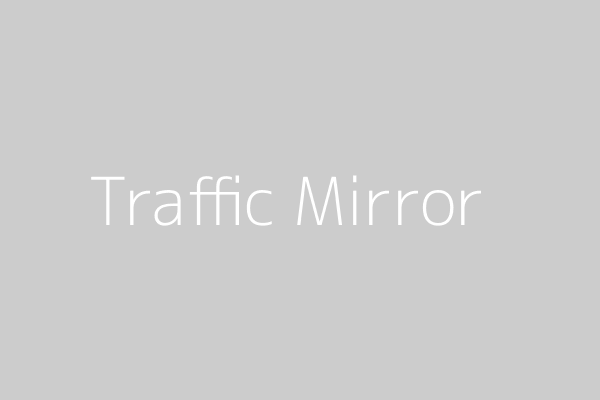 Traffic Mirror